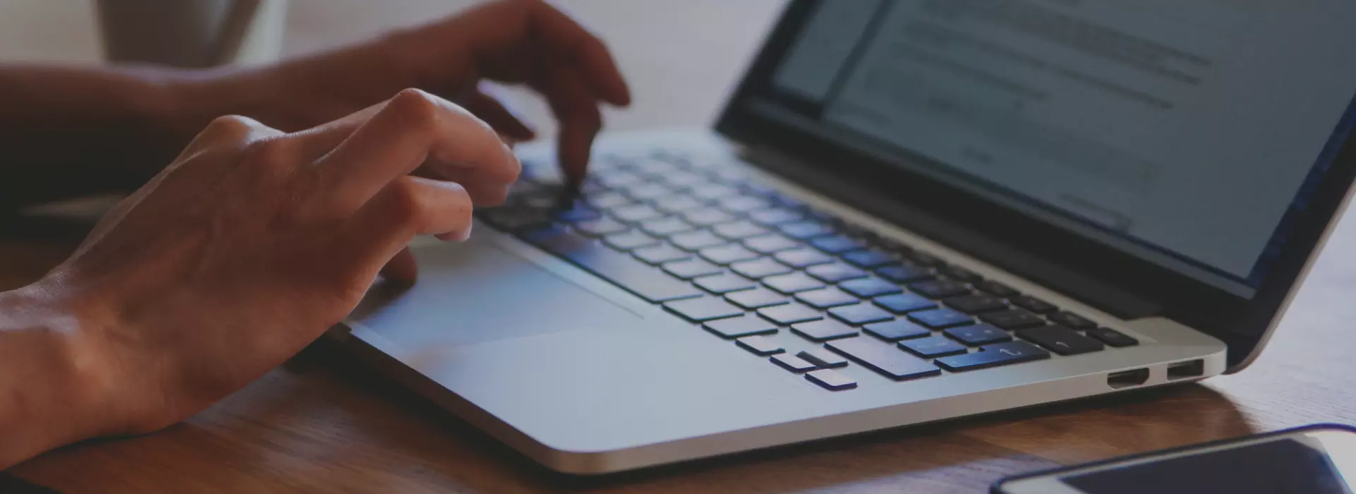 Person working on Laptop